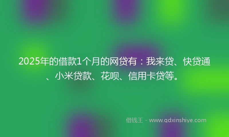 2025年的借款1个月的网贷有：我来贷、快贷通、小米贷款、花呗、信用卡贷等。