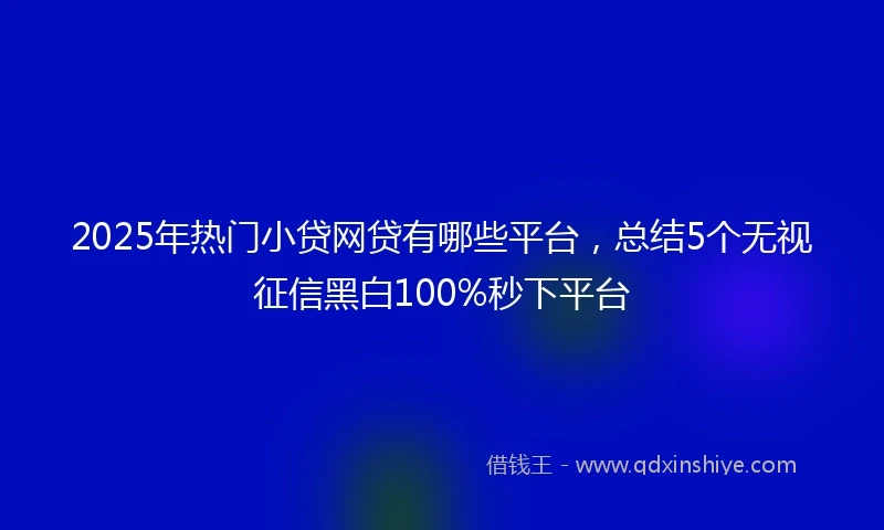 2025年热门小贷网贷有哪些平台，总结5个无视征信黑白100%秒下平台
