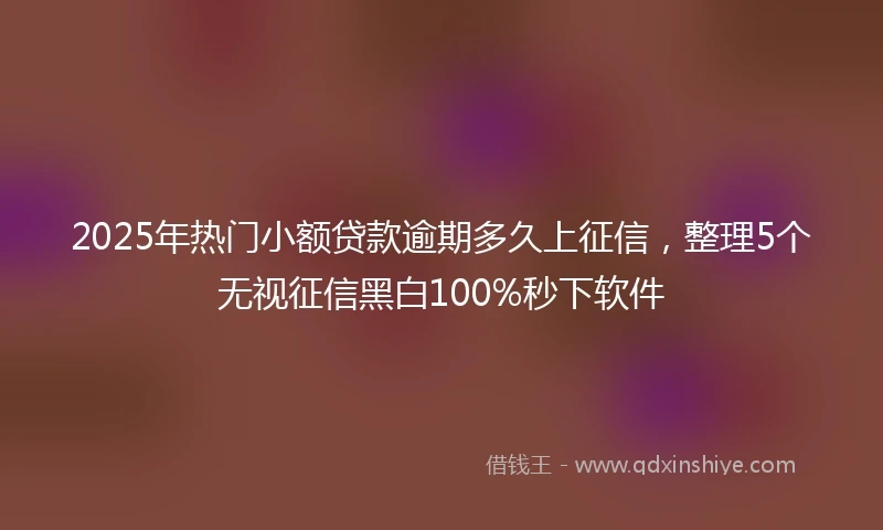 2025年热门小额贷款逾期多久上征信，整理5个无视征信黑白100%秒下软件