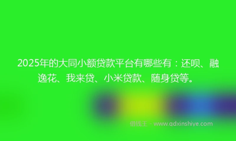 2025年的大同小额贷款平台有哪些有：还呗、融逸花、我来贷、小米贷款、随身贷等。
