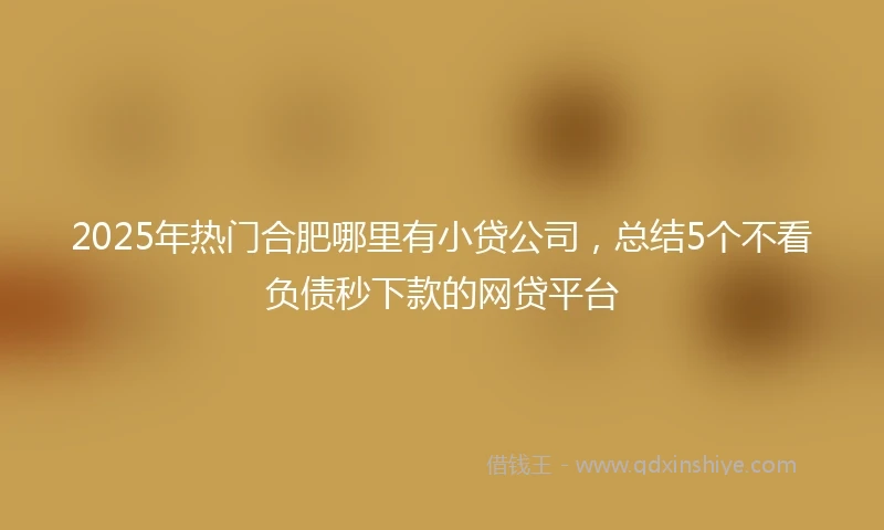 2025年热门合肥哪里有小贷公司，总结5个不看负债秒下款的网贷平台