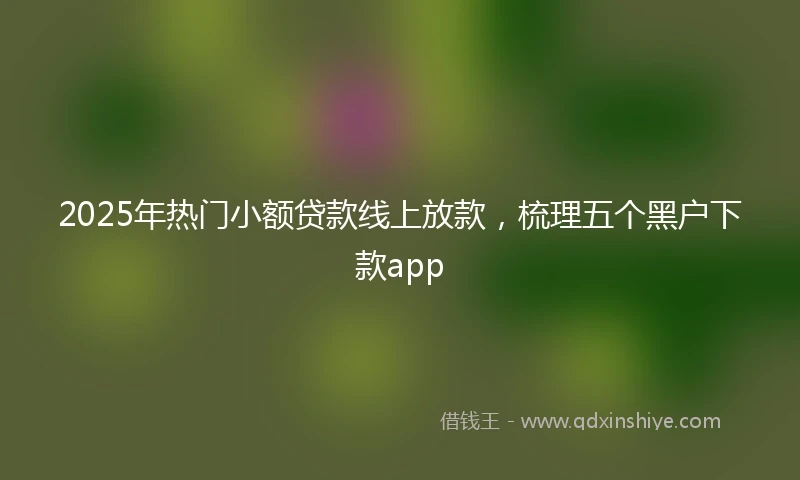 2025年热门小额贷款线上放款，梳理五个黑户下款app