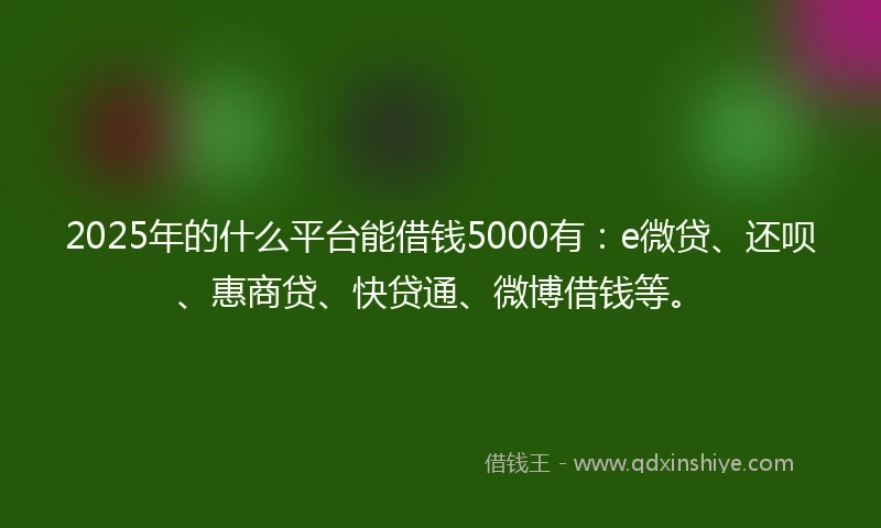 2025年的什么平台能借钱5000有：e微贷、还呗、惠商贷、快贷通、微博借钱等。