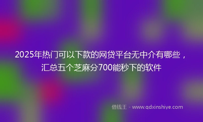 2025年热门可以下款的网贷平台无中介有哪些，汇总五个芝麻分700能秒下的软件