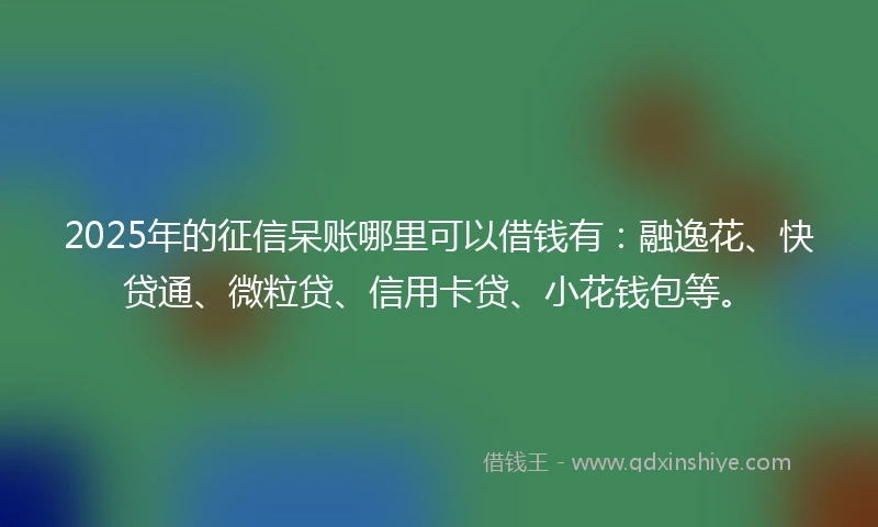 2025年的征信呆账哪里可以借钱有：融逸花、快贷通、微粒贷、信用卡贷、小花钱包等。