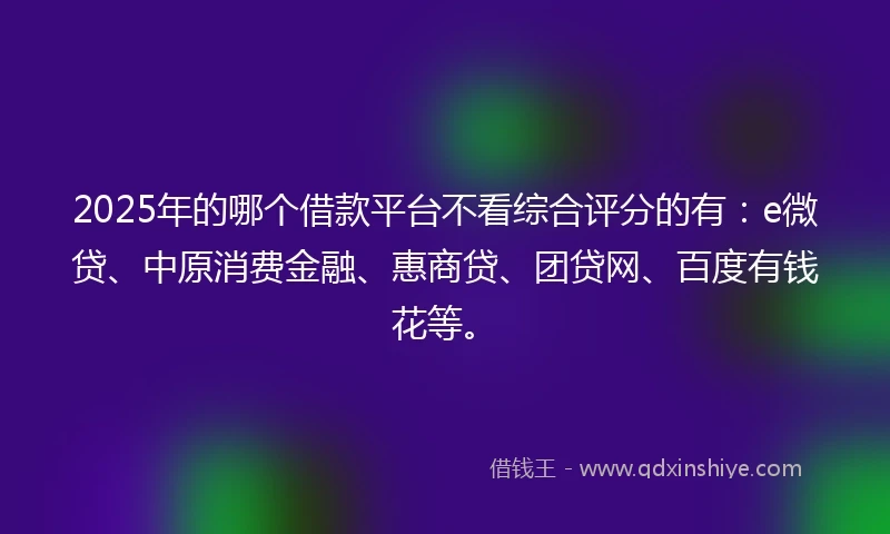 2025年的哪个借款平台不看综合评分的有：e微贷、中原消费金融、惠商贷、团贷网、百度有钱花等。