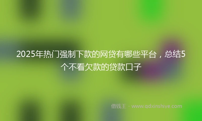 2025年热门强制下款的网贷有哪些平台，总结5个不看欠款的贷款口子