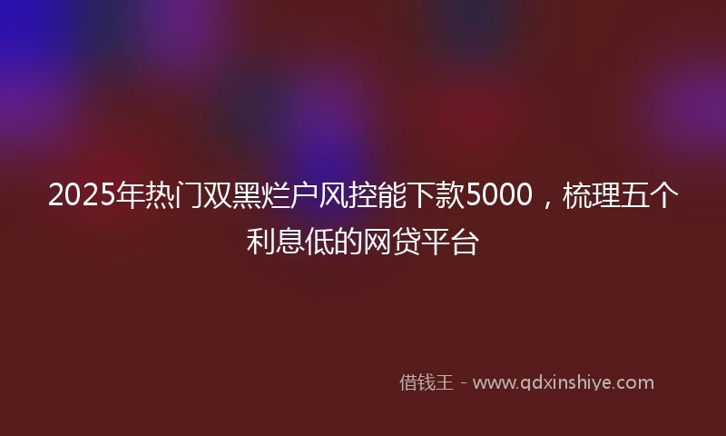 2025年热门双黑烂户风控能下款5000，梳理五个利息低的网贷平台