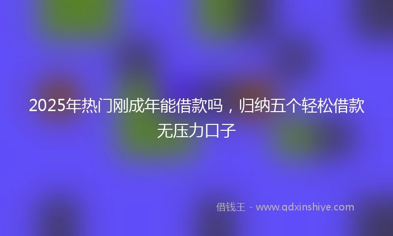 2025年热门刚成年能借款吗，归纳五个轻松借款无压力口子