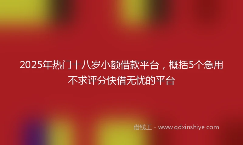 2025年热门十八岁小额借款平台，概括5个急用不求评分快借无忧的平台