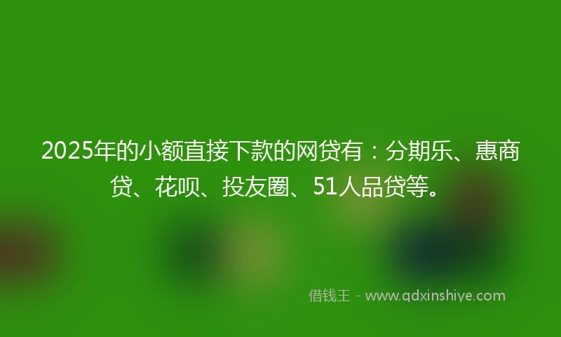 2025年的小额直接下款的网贷有：分期乐、惠商贷、花呗、投友圈、51人品贷等。