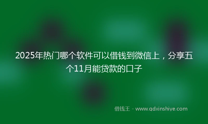 2025年热门哪个软件可以借钱到微信上，分享五个11月能贷款的口子