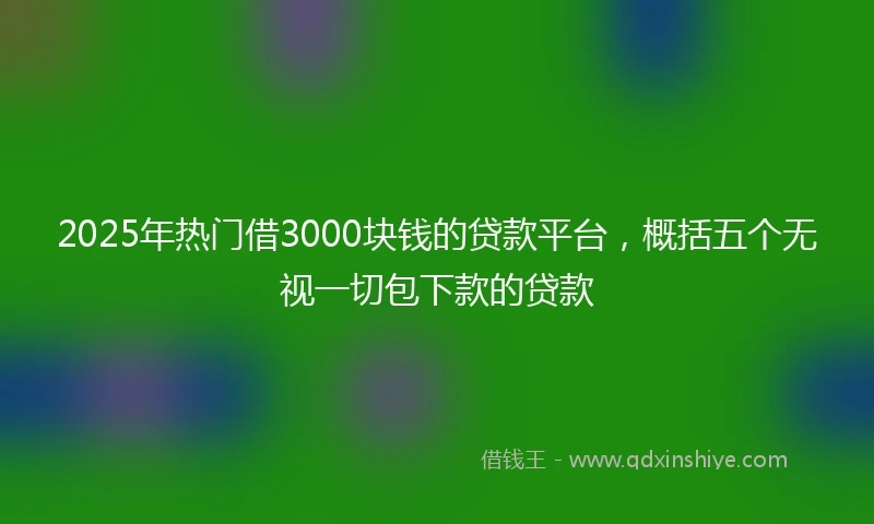 2025年热门借3000块钱的贷款平台，概括五个无视一切包下款的贷款