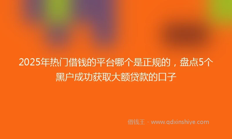2025年热门借钱的平台哪个是正规的，盘点5个黑户成功获取大额贷款的口子