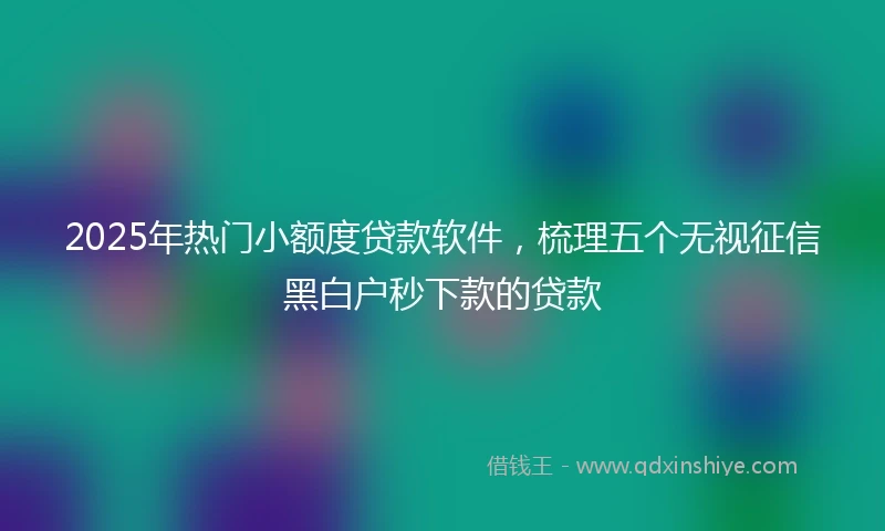 2025年热门小额度贷款软件，梳理五个无视征信黑白户秒下款的贷款