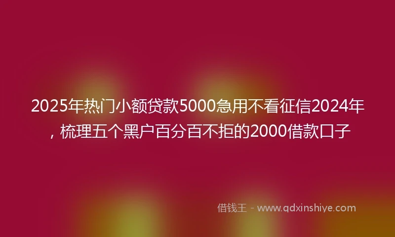 2025年热门小额贷款5000急用不看征信2024年，梳理五个黑户百分百不拒的2000借款口子
