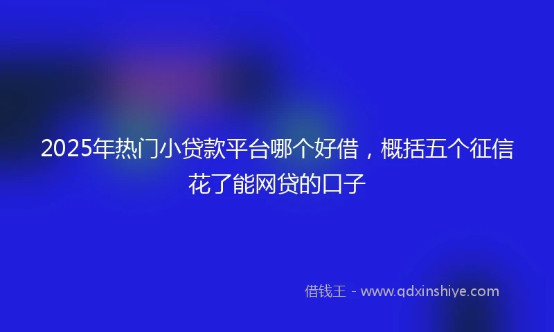 2025年热门小贷款平台哪个好借，概括五个征信花了能网贷的口子