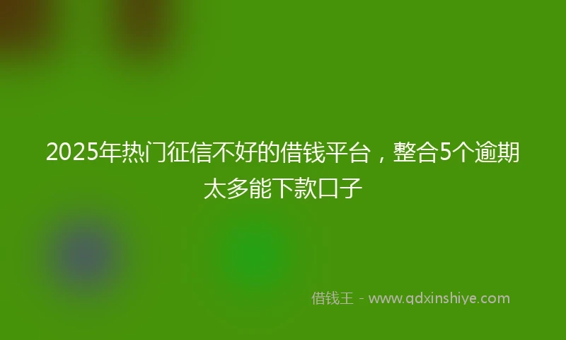 2025年热门征信不好的借钱平台，整合5个逾期太多能下款口子