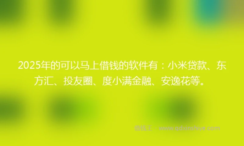 2025年的可以马上借钱的软件有：小米贷款、东方汇、投友圈、度小满金融、安逸花等。