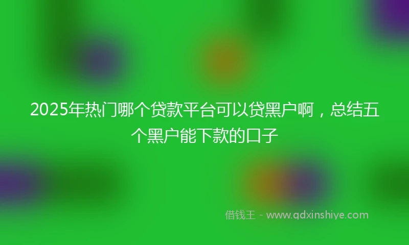 2025年热门哪个贷款平台可以贷黑户啊，总结五个黑户能下款的口子
