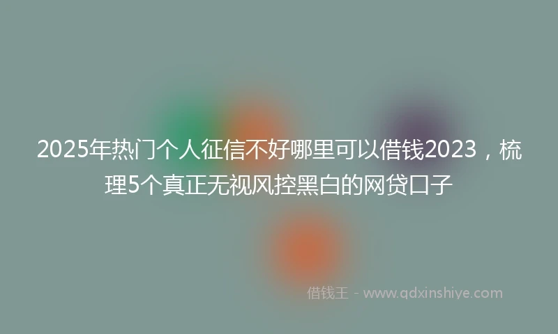 2025年热门个人征信不好哪里可以借钱2023，梳理5个真正无视风控黑白的网贷口子