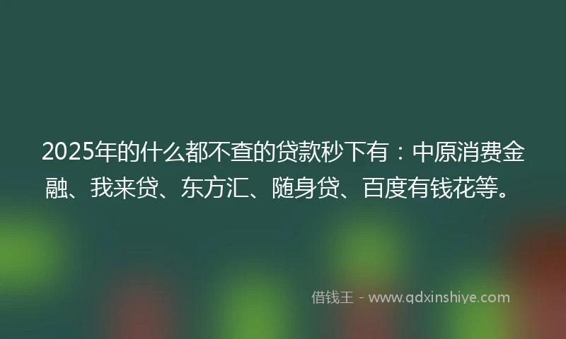 2025年的什么都不查的贷款秒下有：中原消费金融、我来贷、东方汇、随身贷、百度有钱花等。