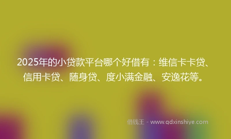 2025年的小贷款平台哪个好借有：维信卡卡贷、信用卡贷、随身贷、度小满金融、安逸花等。