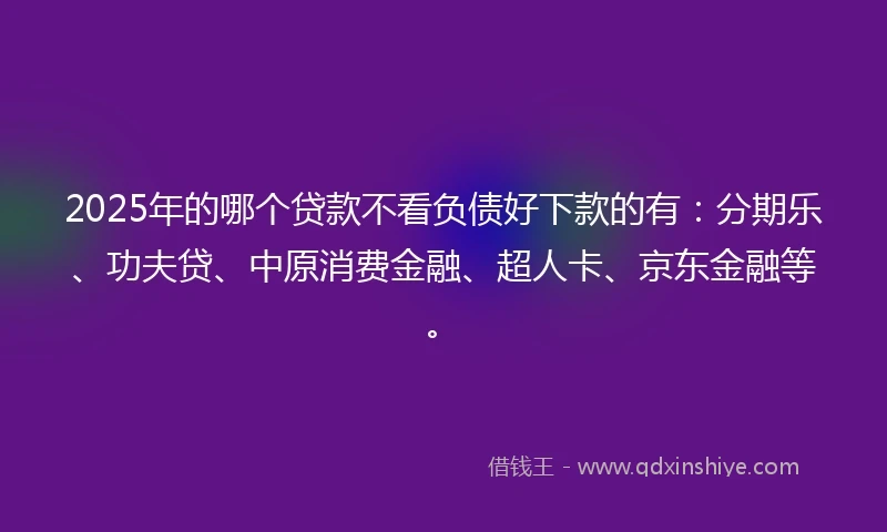 2025年的哪个贷款不看负债好下款的有：分期乐、功夫贷、中原消费金融、超人卡、京东金融等。