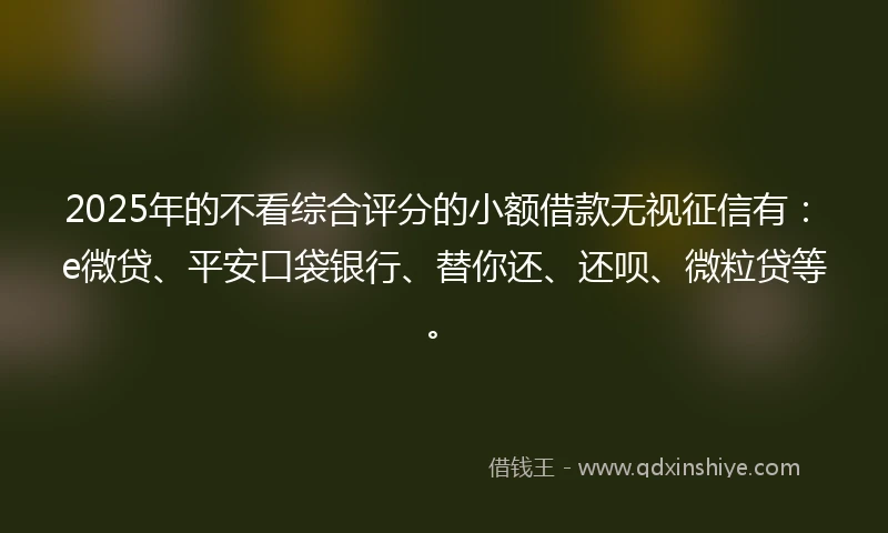 2025年的不看综合评分的小额借款无视征信有：e微贷、平安口袋银行、替你还、还呗、微粒贷等。