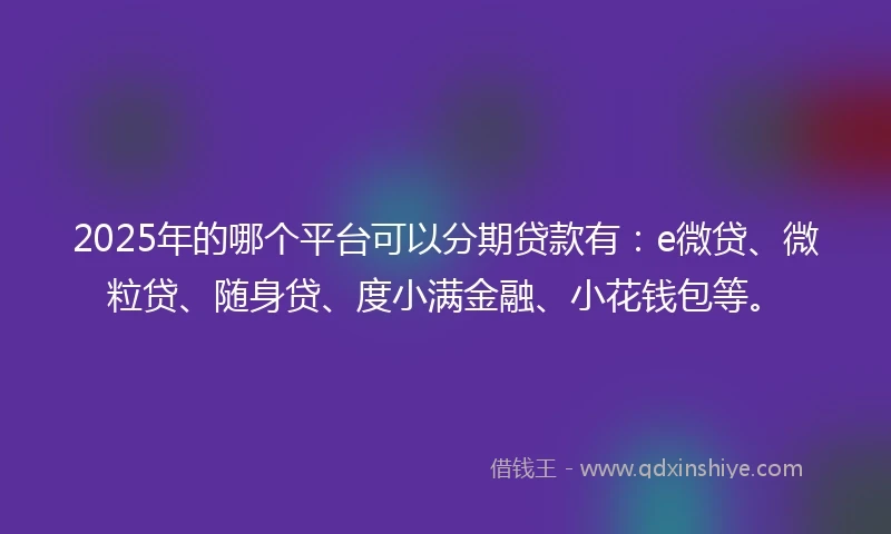 2025年的哪个平台可以分期贷款有：e微贷、微粒贷、随身贷、度小满金融、小花钱包等。