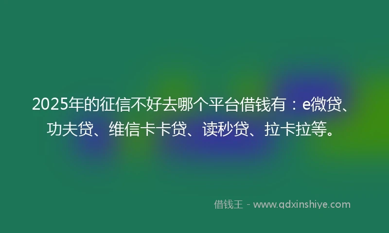 2025年的征信不好去哪个平台借钱有：e微贷、功夫贷、维信卡卡贷、读秒贷、拉卡拉等。