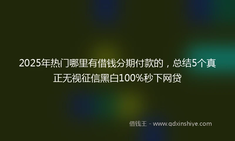 2025年热门哪里有借钱分期付款的，总结5个真正无视征信黑白100%秒下网贷