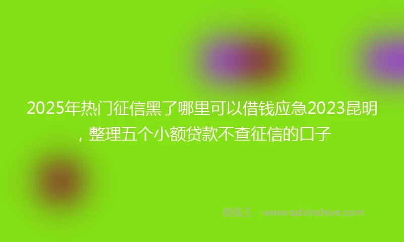 2025年热门征信黑了哪里可以借钱应急2023昆明，整理五个小额贷款不查征信的口子