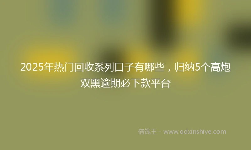 2025年热门回收系列口子有哪些，归纳5个高炮双黑逾期必下款平台