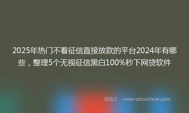 2025年热门不看征信直接放款的平台2024年有哪些，整理5个无视征信黑白100%秒下网贷软件