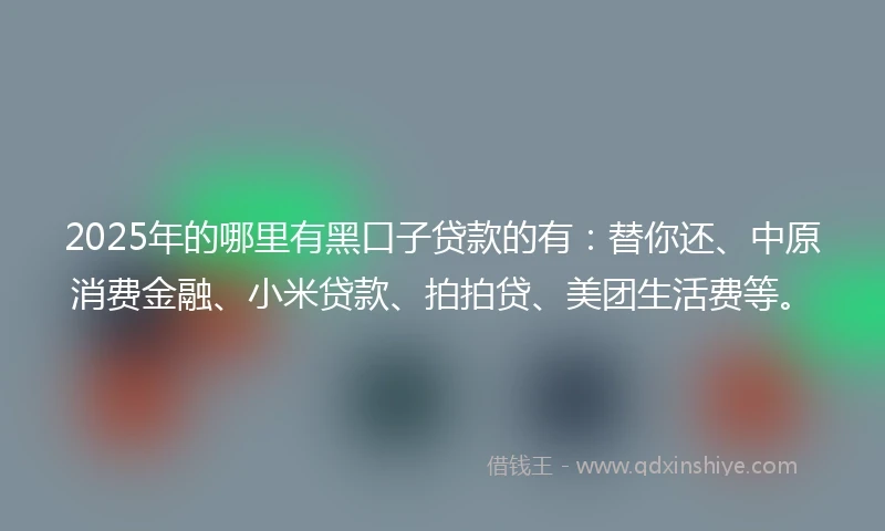 2025年的哪里有黑口子贷款的有：替你还、中原消费金融、小米贷款、拍拍贷、美团生活费等。