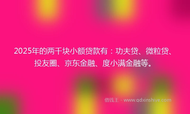 2025年的两千块小额贷款有：功夫贷、微粒贷、投友圈、京东金融、度小满金融等。
