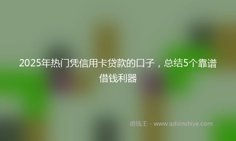 2025年热门凭信用卡贷款的口子，总结5个靠谱借钱利器
