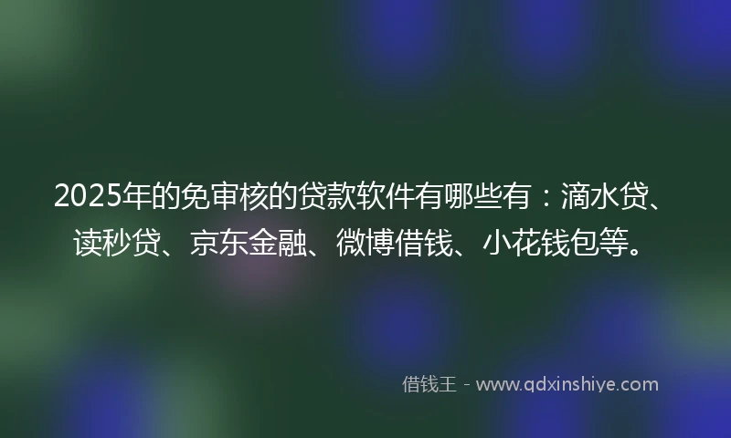 2025年的免审核的贷款软件有哪些有：滴水贷、读秒贷、京东金融、微博借钱、小花钱包等。
