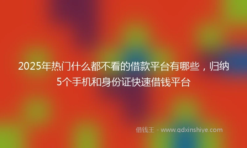 2025年热门什么都不看的借款平台有哪些，归纳5个手机和身份证快速借钱平台