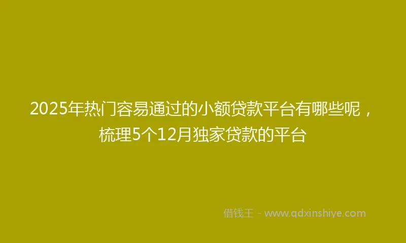 2025年热门容易通过的小额贷款平台有哪些呢，梳理5个12月独家贷款的平台