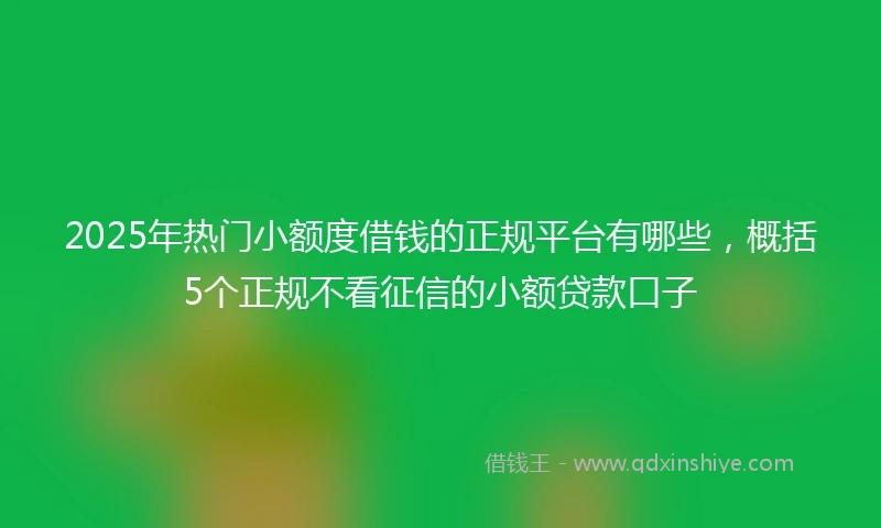 2025年热门小额度借钱的正规平台有哪些，概括5个正规不看征信的小额贷款口子