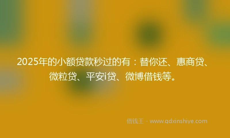 2025年的小额贷款秒过的有：替你还、惠商贷、微粒贷、平安i贷、微博借钱等。