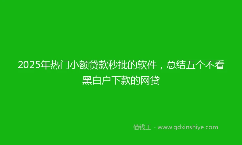 2025年热门小额贷款秒批的软件，总结五个不看黑白户下款的网贷