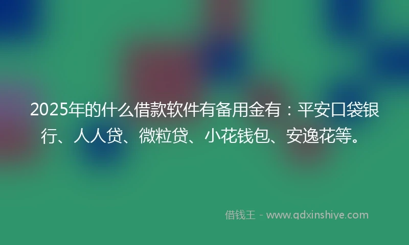 2025年的什么借款软件有备用金有：平安口袋银行、人人贷、微粒贷、小花钱包、安逸花等。