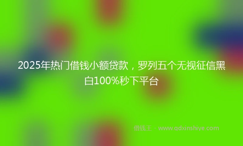 2025年热门借钱小额贷款，罗列五个无视征信黑白100%秒下平台