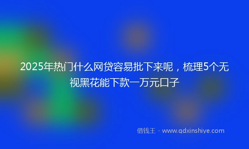2025年热门什么网贷容易批下来呢，梳理5个无视黑花能下款一万元口子