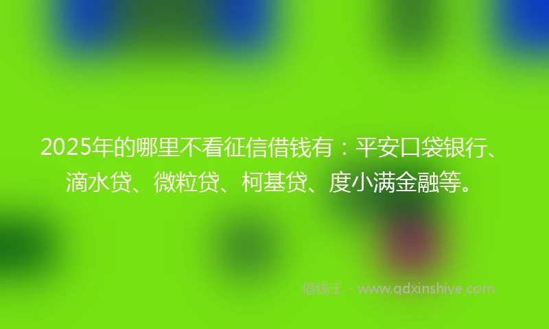2025年的哪里不看征信借钱有：平安口袋银行、滴水贷、微粒贷、柯基贷、度小满金融等。