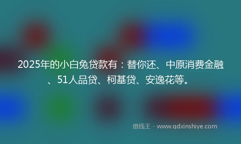 2025年的小白兔贷款有：替你还、中原消费金融、51人品贷、柯基贷、安逸花等。