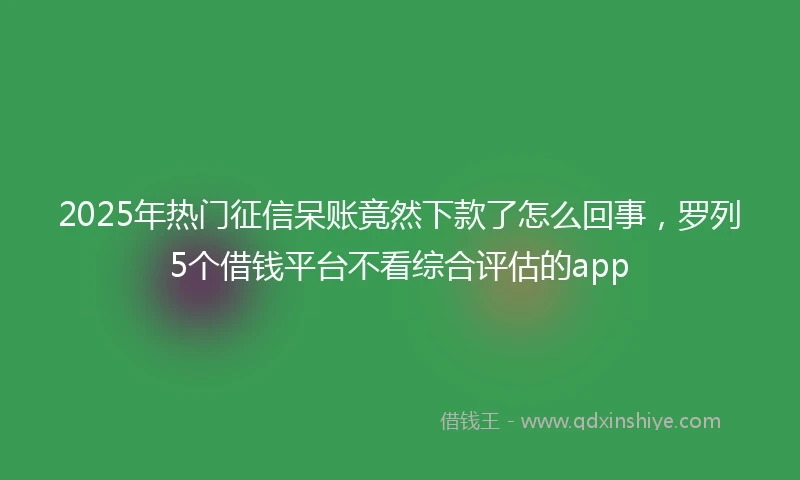2025年热门征信呆账竟然下款了怎么回事，罗列5个借钱平台不看综合评估的app